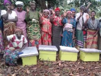 From Nakaseke to Kiboga—Knowledge-sharing the Art & Business of Bee Farming